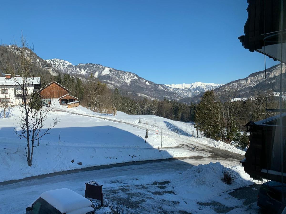 Alpenblick Suite Bad Goisern Extérieur photo